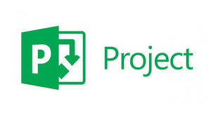 Curso de Microsoft Project.