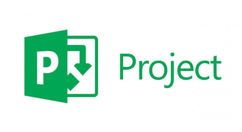 Curso de Microsoft Project BUEN FIN 29